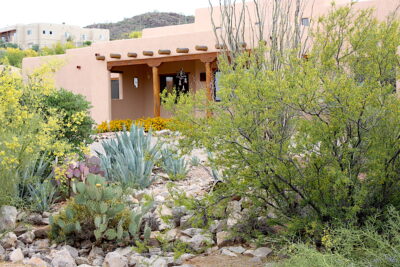 Arizona front yard with succulents (c) Debra Lee Baldwin 