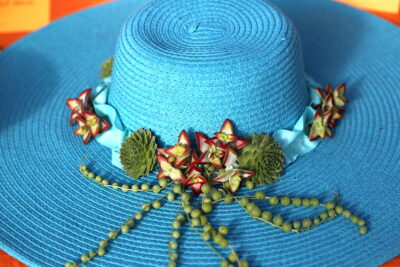 Garden hat decorated with succulents by Laura Balaoro for Better Homes & Gardens (c) Debra Lee Baldwin