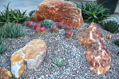 Succulent garden, rocks and topdressing (c) Debra Lee Baldwin 