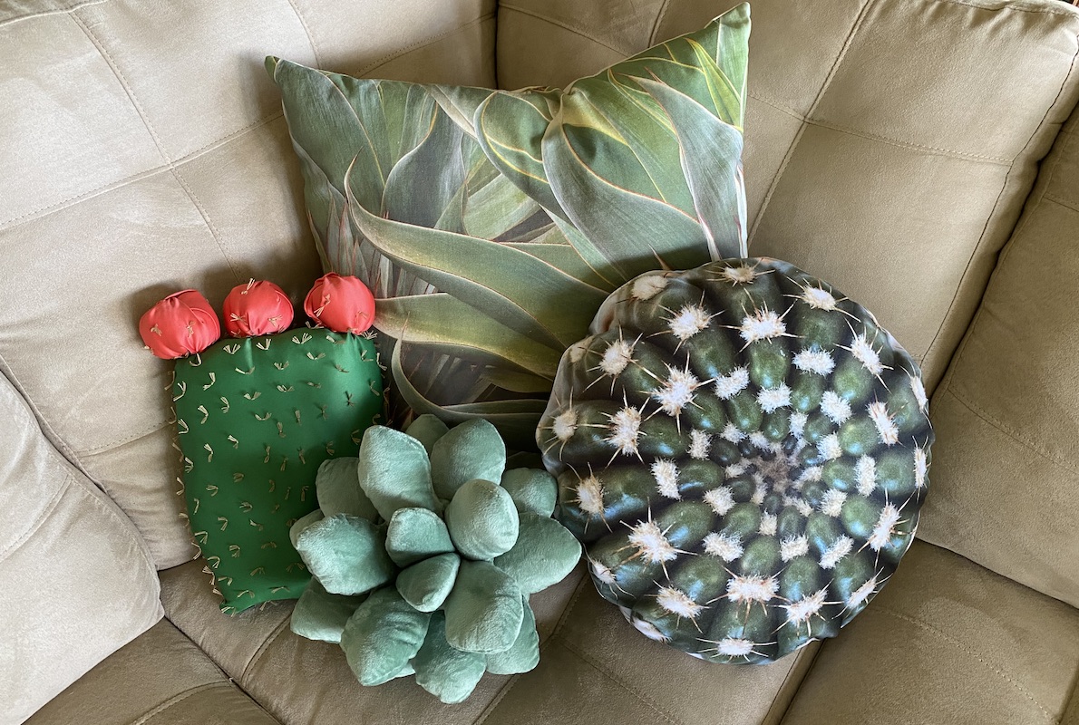 Debra Lee Baldwin's sofa succulent garden