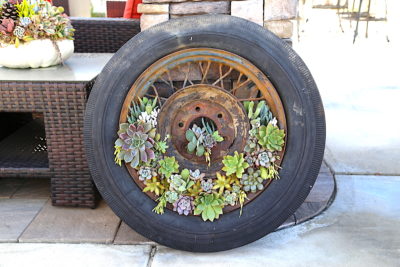 Floral style succulent arrangement in tire (c) Debra Lee Baldwin