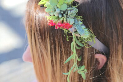 Succulent headband (c) Debra Lee Baldwin 