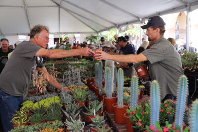 San Diego Cactus & Succulent Show and Sale, vendor area (c) Debra Lee Baldwin