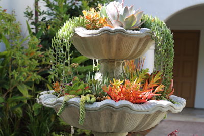 Floral style succulent fountain (c) Debra Lee Baldwin