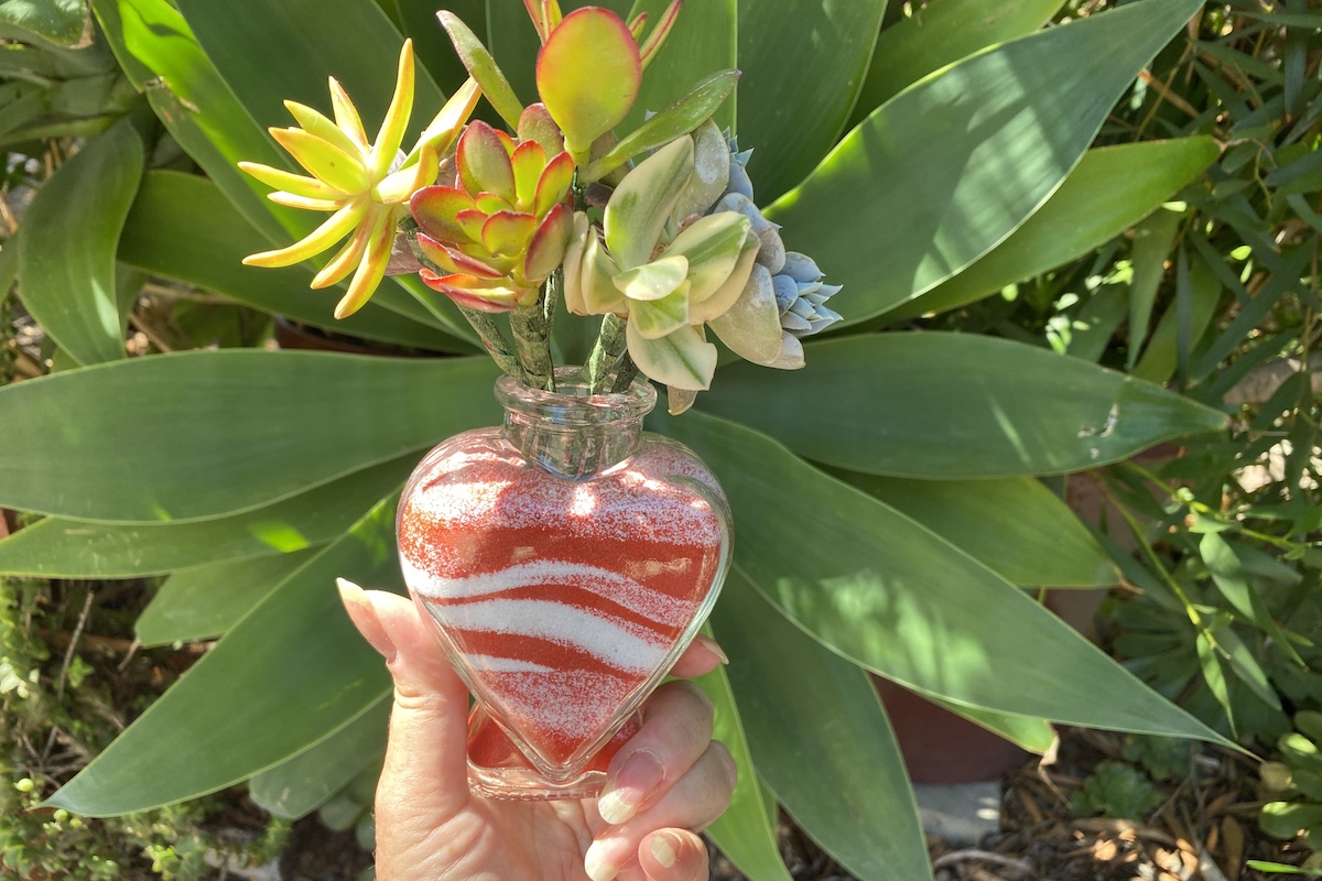 Canada Day Succulent bouquet (c) Debra Lee Baldwin