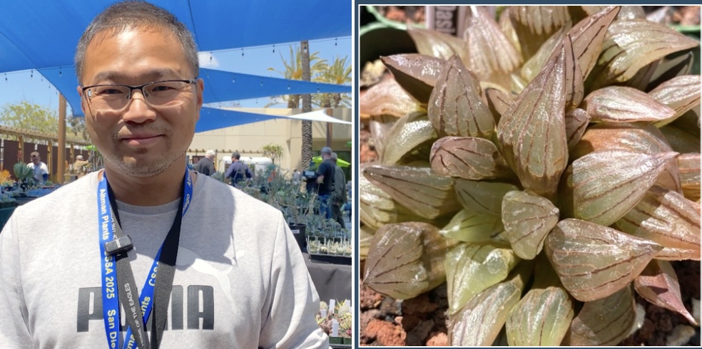 Jack Tian and Haworthia atrofusca 'Watermelon' (c) Debra Lee Baldwin