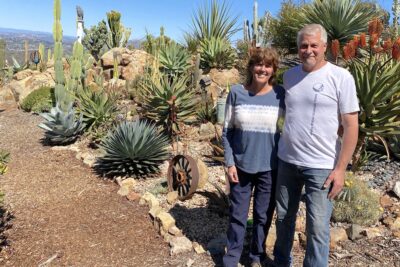 Large succulent garden of rescued plants (c) Debra Lee Baldwin