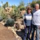 Large succulent garden of rescued plants (c) Debra Lee Baldwin