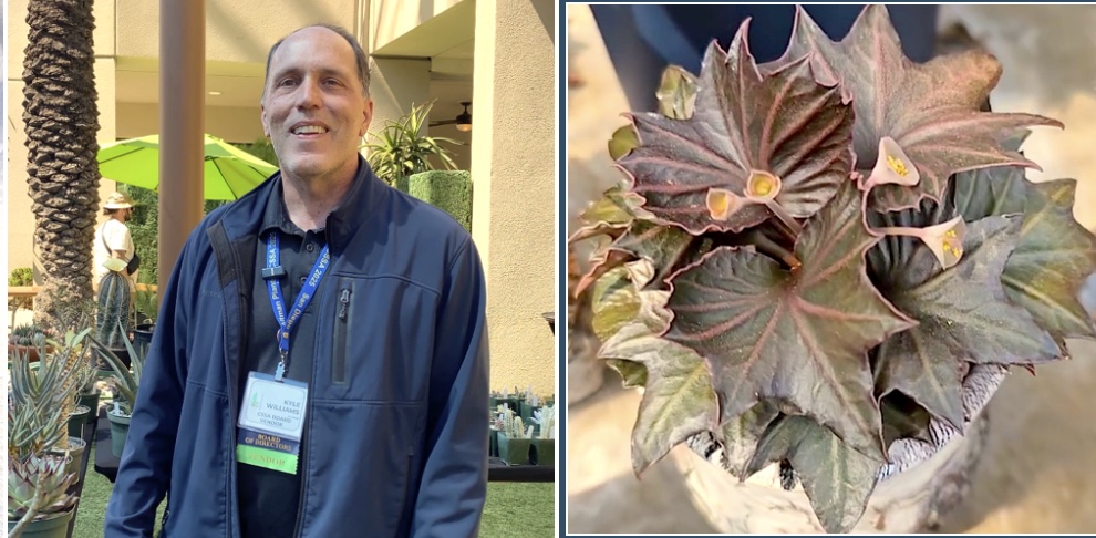 Kyle Williams and Euphorbia francoisii (c) Debra Lee Baldwin
