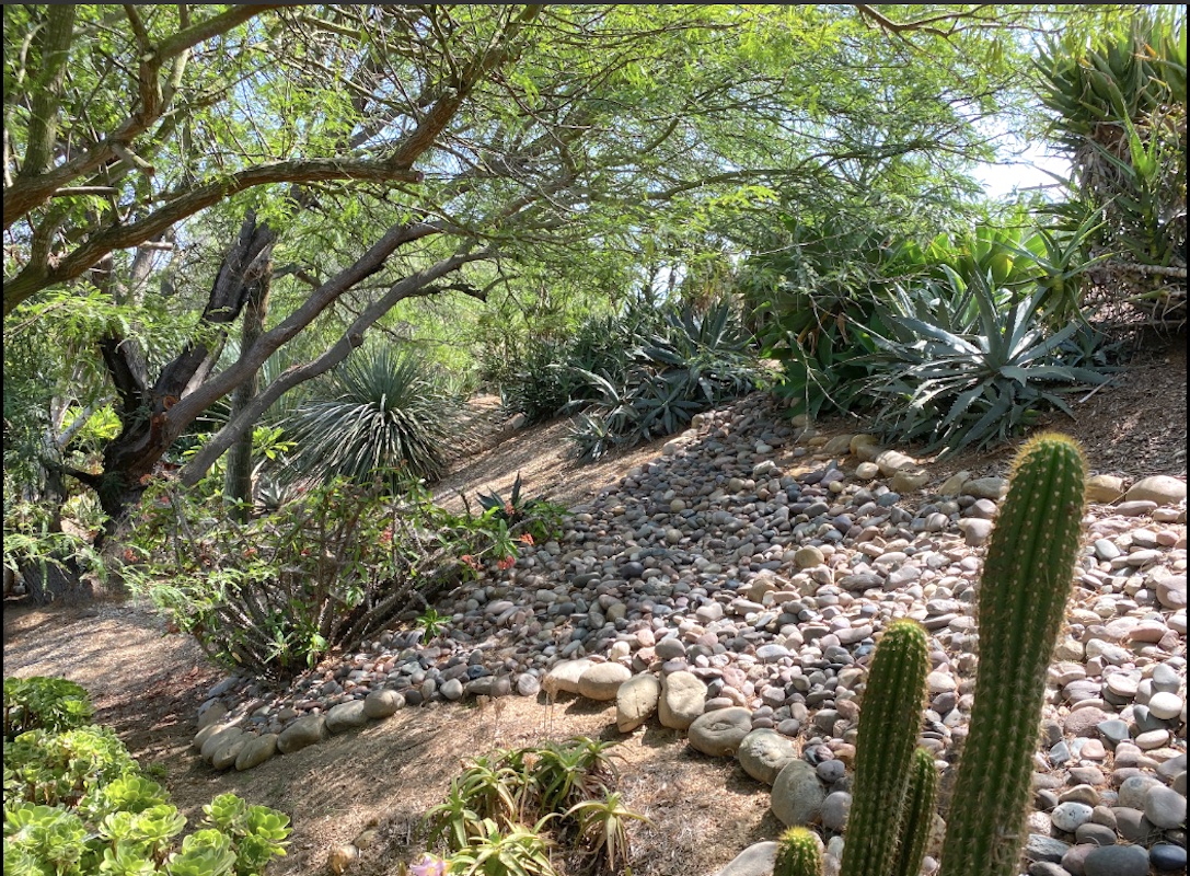 A swath of rounded stones enhance a steep bank (c) Debra Lee Baldwin 