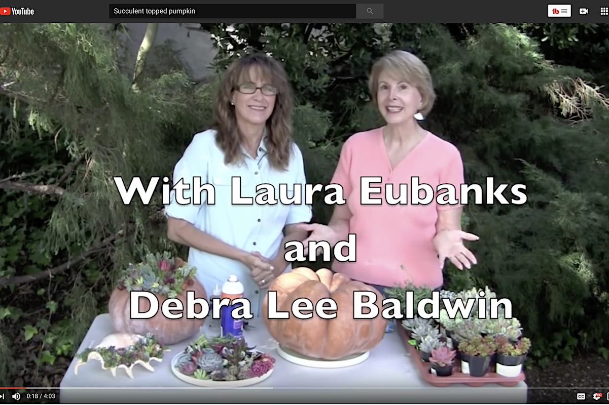 Laura Eubanks and Debra Lee Baldwin video
