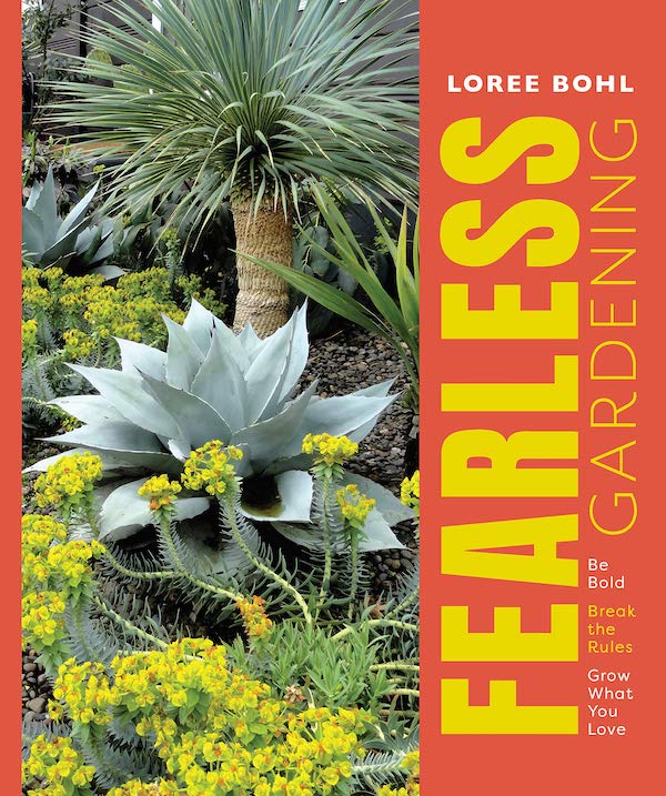 Loree Bohl book