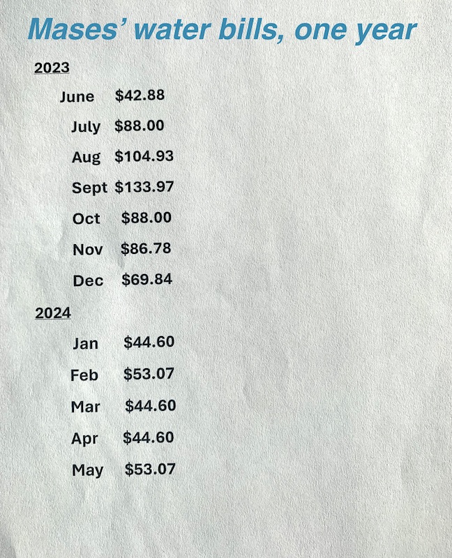 Succulent garden month-by-month water bill (c) Debra Lee Baldwin 