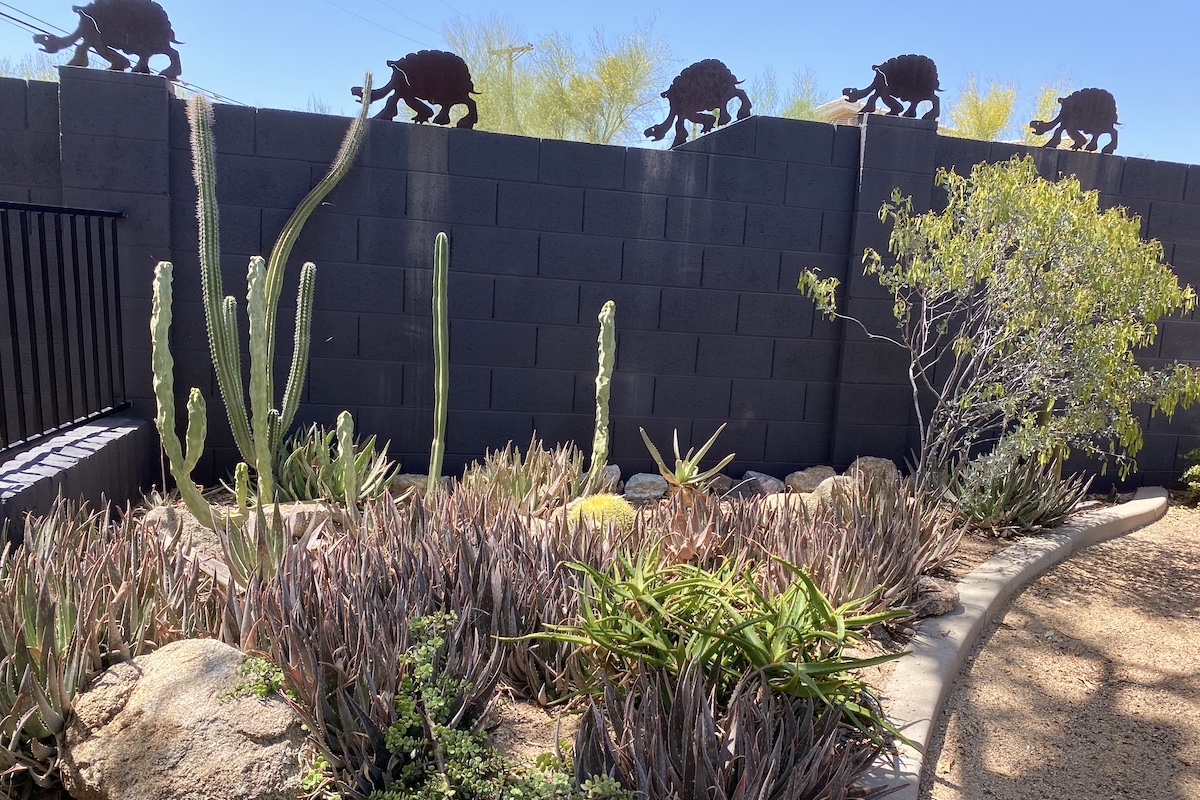 Metal tortoises atop wall in Paradise Valley garden (c) Debra Lee Baldwin 