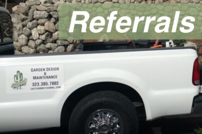 Succulent garden maintenance referrals