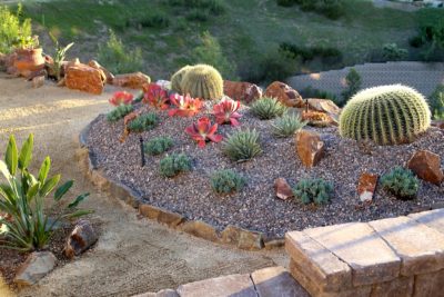 A Dozen Beginners' Succulent Landscape Mistakes - Debra Lee Baldwin