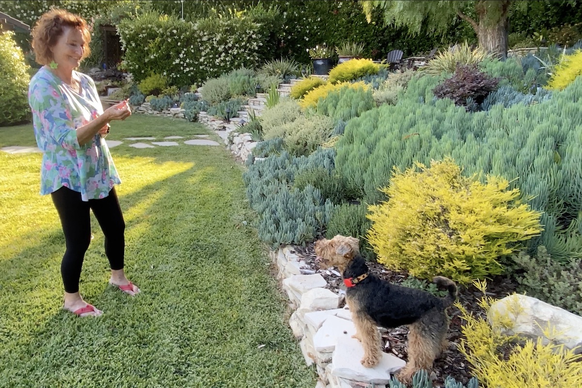 Three problem solving palos verdes succulent gardens laptrinhx news