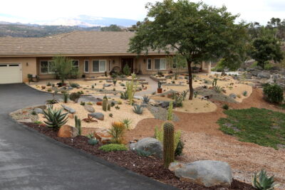 Newly planted, contrasting crushed rock areas Succulent driveway (c) Debra Lee Baldwin