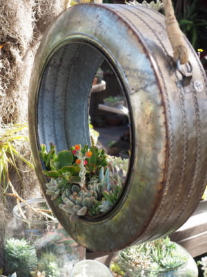 Succulent arrangement in wheel (c) Debra Lee Baldwin