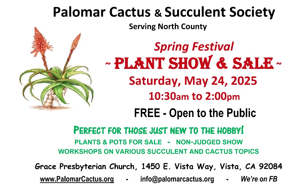 Palomar CSS spring show flier 2025