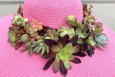 Succulent hat