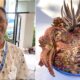 Phúc Huynh of the Cactus & Succulent Society of America (c) Debra Lee Baldwin