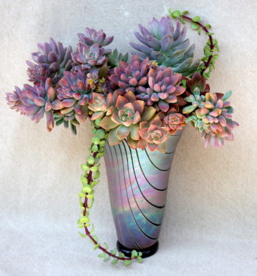 Portulacaria afra in floral arrangement (c) Debra Lee Baldwin