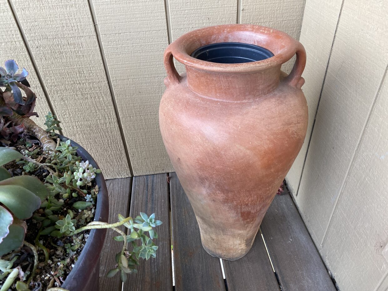 Terracotta pot with nursery pot as liner (c) Debra Lee Baldwin