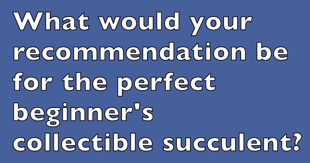 Question for CSSA experts