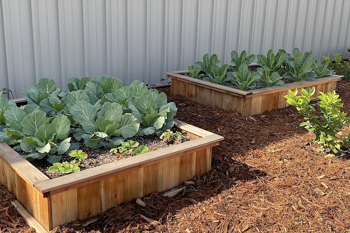 Raised vegetable beds in the display garden are a specialty of Grangetto's Farm and Garden Supply ©Debra Lee Baldwin