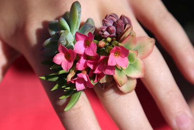 Succulents on ring