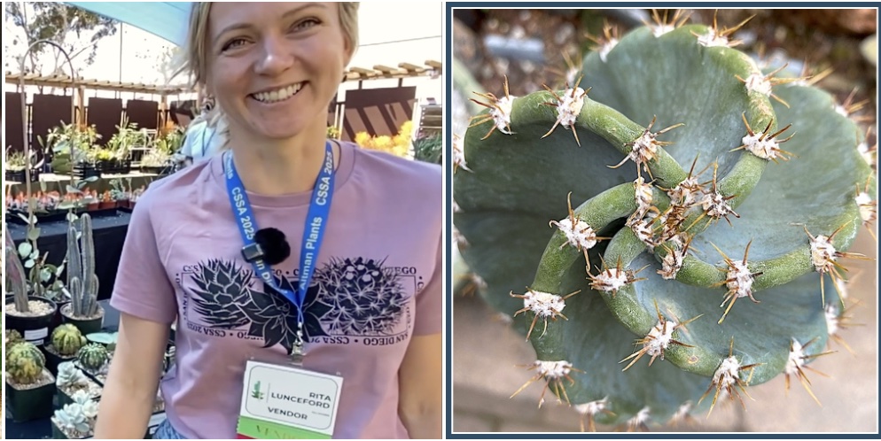 Rita Lunceford with spiral cactus (Cereus forbesii spiralis) (c) Debra Lee Baldwin