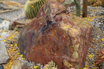 Rust, orange & yellow boulder Succulent driveway (c) Debra Lee Baldwin