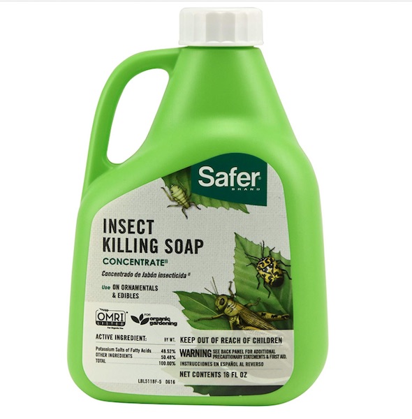 Safer insecticidal soap