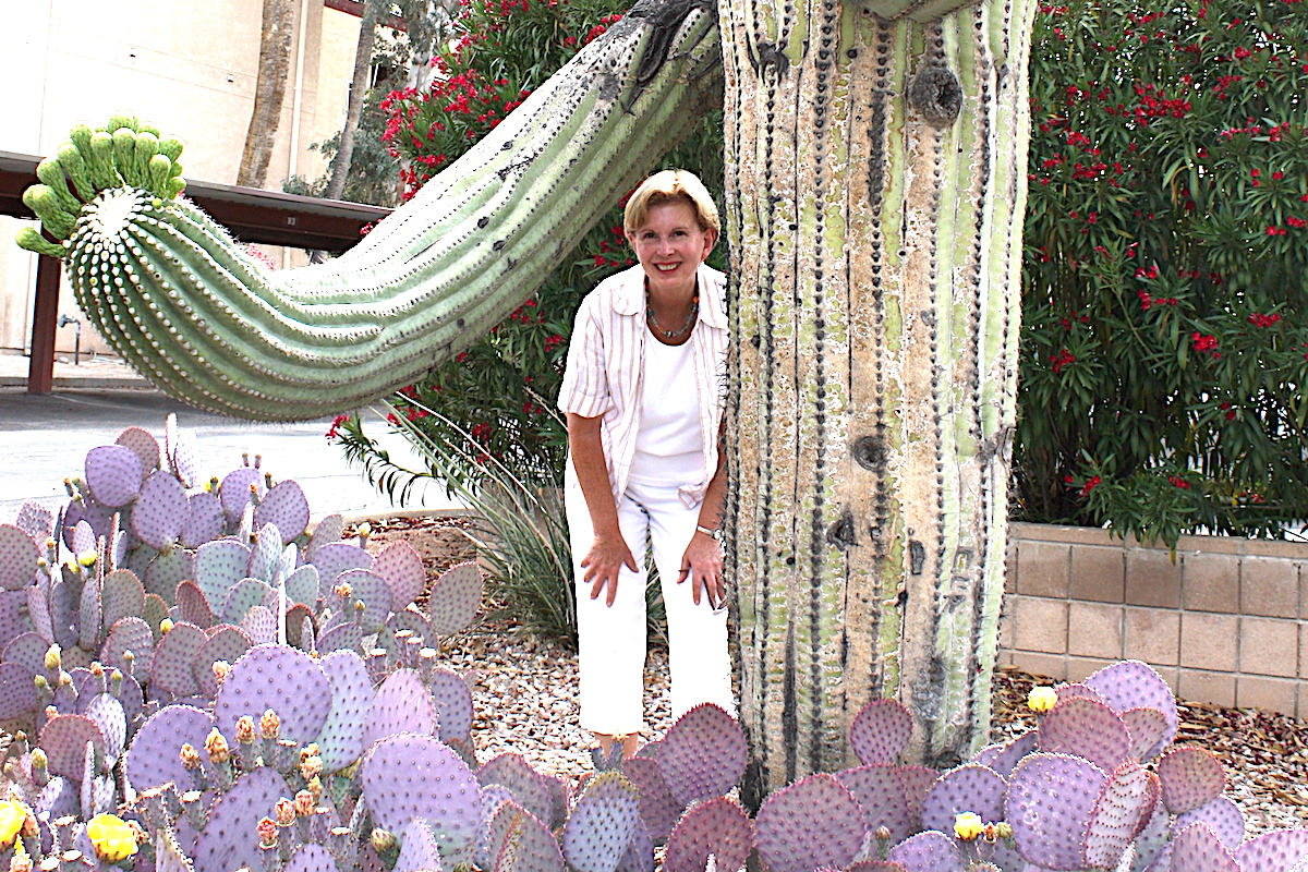 Saguaro cactus (c) Debra Lee Baldwin 
