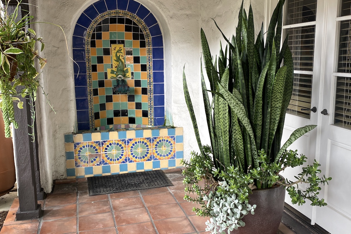 Sansevieria, fountain at Laguna Beach Water District (c) Debra Lee Baldwin