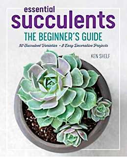 Essential Succulents book