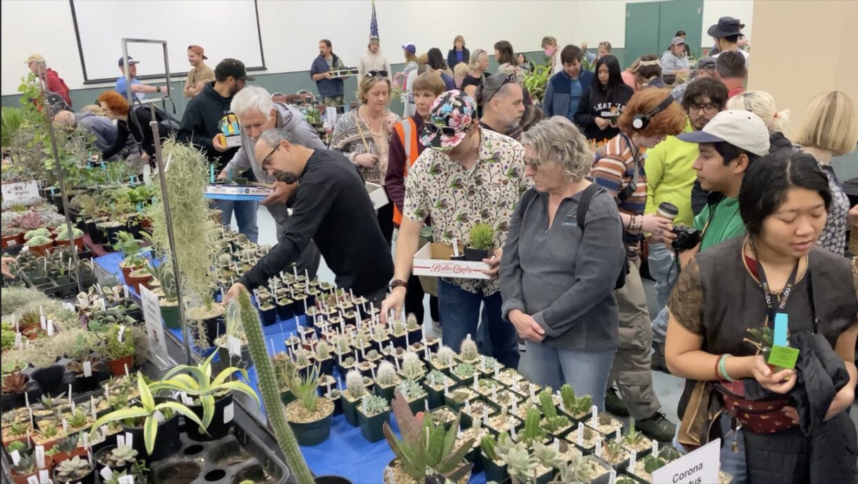Shoppers and collectors at the San Diego CSS show in Balboa Park