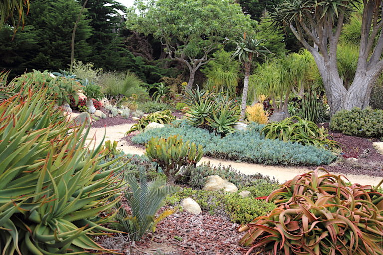 Seaside's Superb Botanical Garden Near Santa Barbara - Debra Lee Baldwin