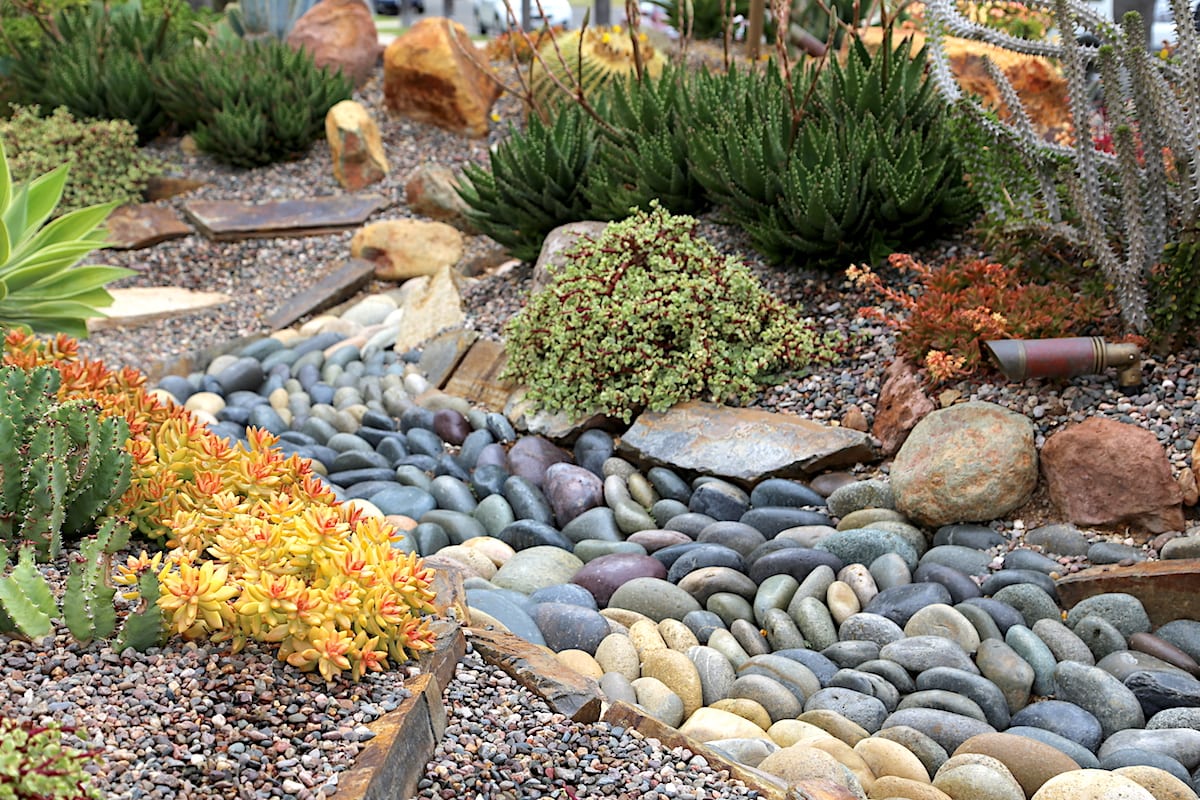 succulent rock garden design