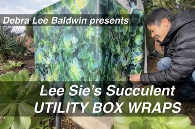 Succulent Utility Box Wrap video