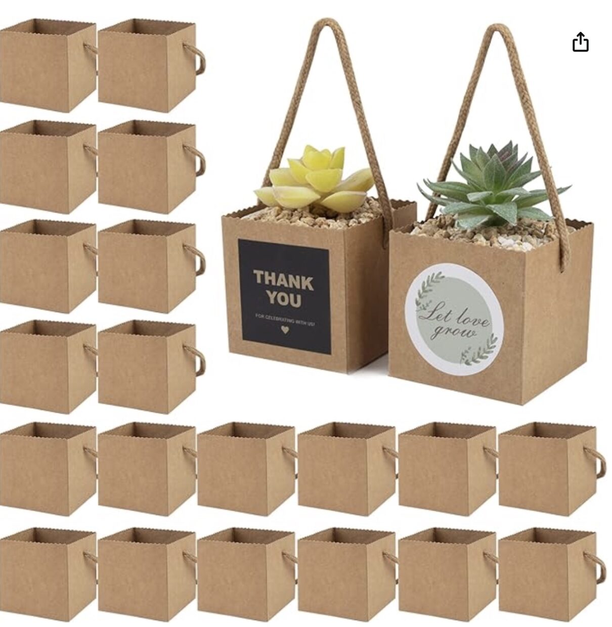 Gift bags for guests hold small succulents 