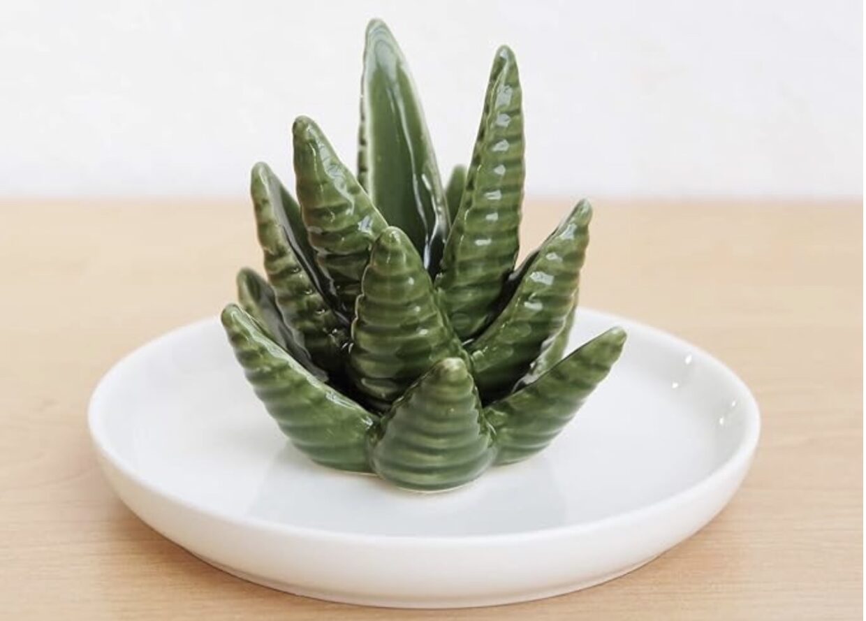 Aloe jewelry holder