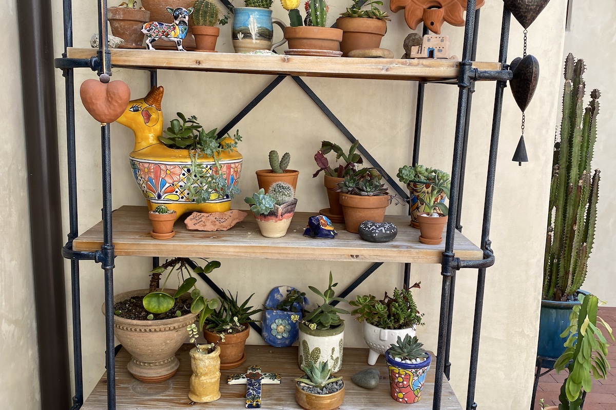 Succulents in Talavera pots on shelves (c) Debra Lee Baldwin 