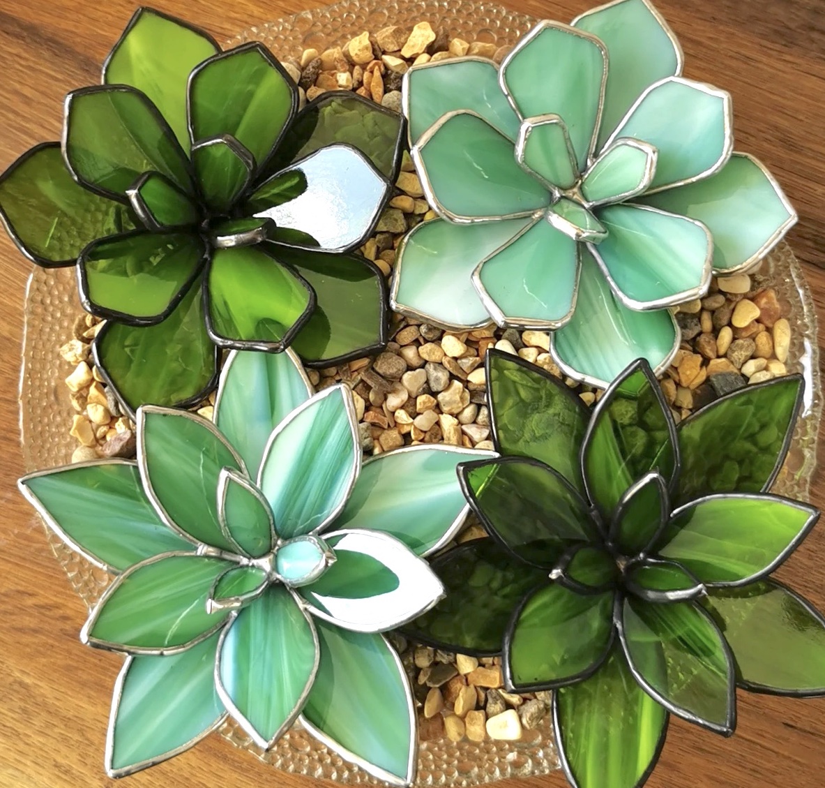 Stained glass rosette succulents