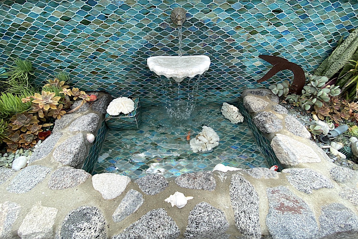 Succulent tidepool fountain (c) Debra Lee Baldwin 