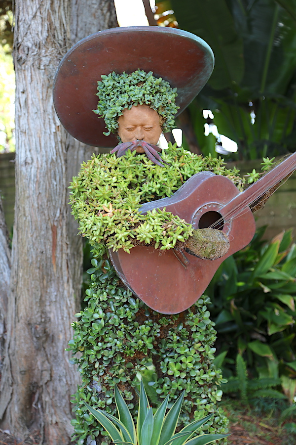 Succulent topiary mariachi figures have hats and instruments made of brass