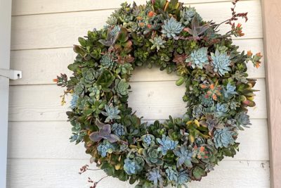 Succulent wreath topiary (c) Debra Lee Baldwin