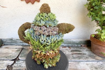 Teapot topiary (c) Debra Lee Baldwin