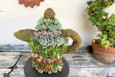 Teapot topiary 2 (c) Debra Lee Baldwin